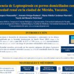 enfermedades tropicales 01