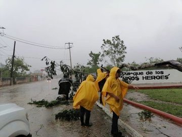 FD220EAD-69FE-4455-8127-0E0476399654_4_5005_c