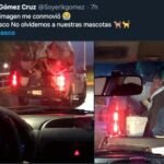 MM6NVZ5JQNBVNHGA4IZ4DCT2OE