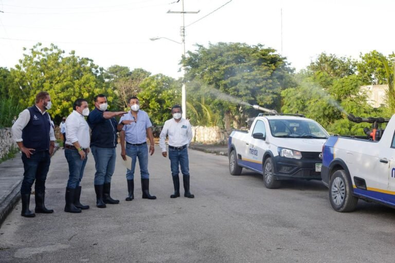 WhatsApp Image 2020-10-13 at 8.34.27 PM