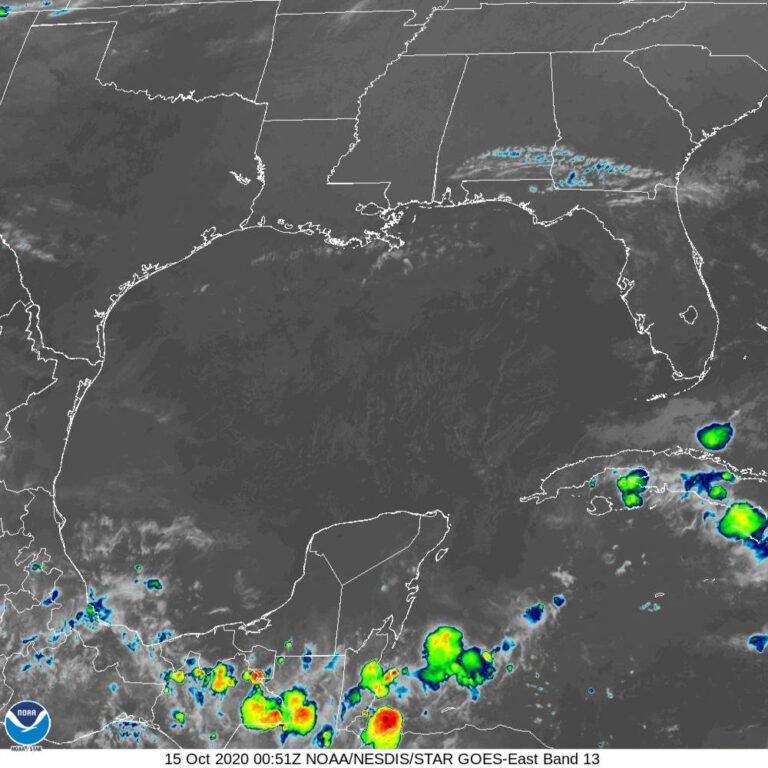 WhatsApp Image 2020-10-14 at 8.29.46 PM