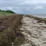 382437F0-C4EE-41F2-8CF3-C4E6653F2185