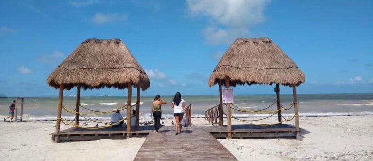 3D6316B5-74DA-4250-B14D-336C951E7770