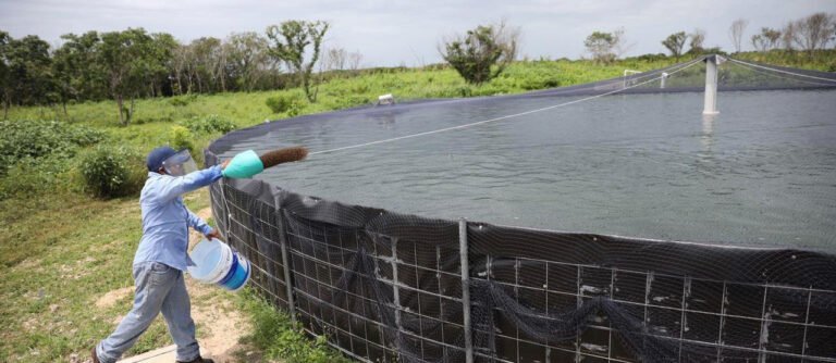 6B4D58C9-733A-4063-9C28-B326589D83E7