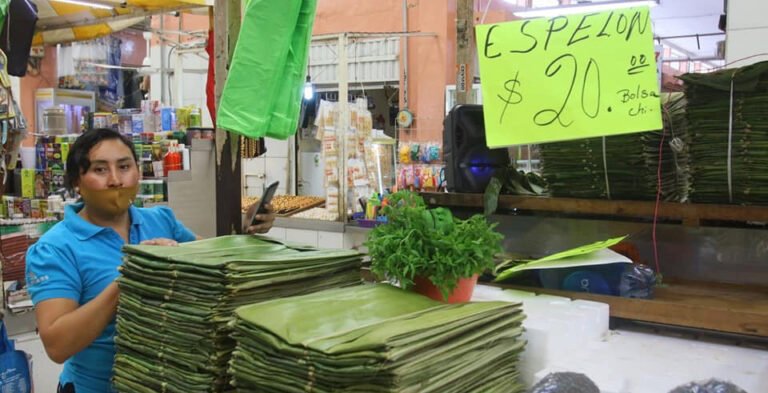 94C8B870-41D3-4EBB-98FB-14887EF62B14