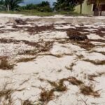 9672D05B-271B-42C6-BCFE-4D3A5E8095B0