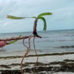 AF165B19-D3AA-47D1-AFBA-8CF49701E625