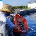 BE5E5001-71F1-4680-8D0F-F64B73B53629