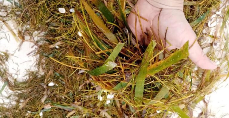 D8F034B0-51F3-4D60-92F5-8DFC34644BEC