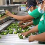 541AE9D4-024E-4E0B-915B-CB9757D56350