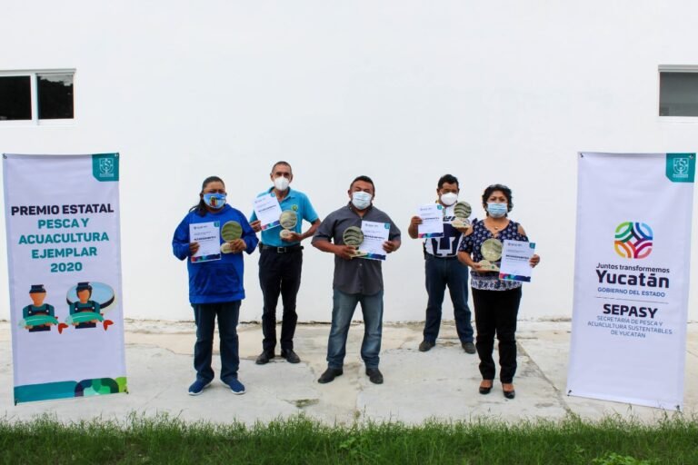 WhatsApp Image 2020-12-04 at 12.31.21 PM (1)