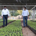 B7E94E17-FC2B-441E-B29E-CFDDB9A5919A