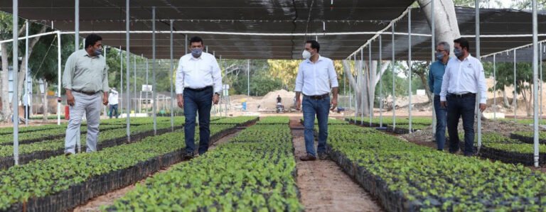 B7E94E17-FC2B-441E-B29E-CFDDB9A5919A