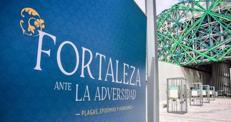 DAC60667-035D-41B7-B8B8-D3745F4F0081