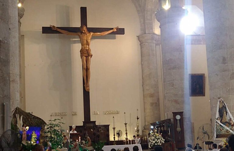 WhatsApp Image 2021-01-06 at 3.16.02 PM-2