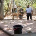 2098AE48-C096-4920-A2EB-38D622B3F077