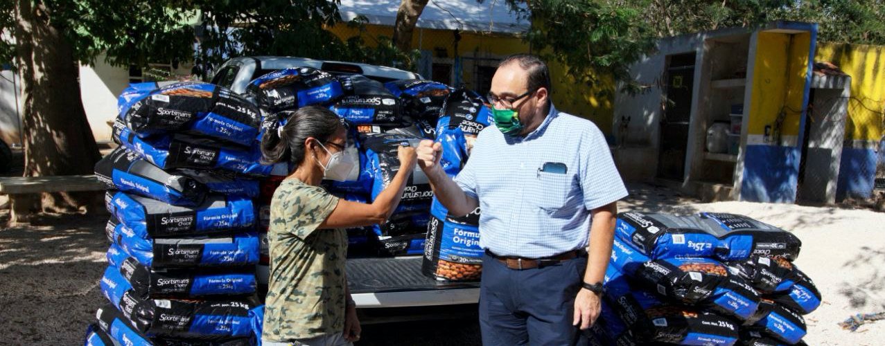 Más de 500 perros de refugios se benefician con el Reto Peek´ de Ramírez Marín