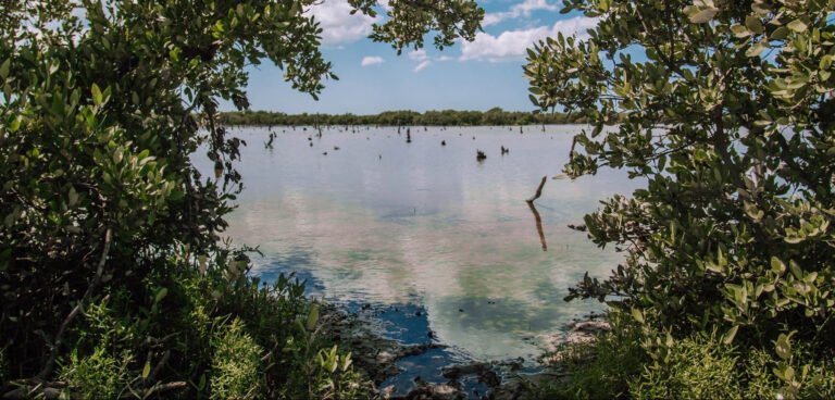 9B6DBA38-CB71-4703-8B2A-82E314DB6F8F