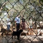 D24CD546-4275-43F0-8F40-4652AB3ECE63