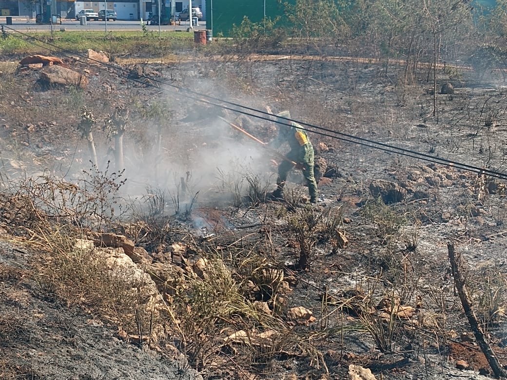 Personal militar apoya en la sofocación de incendio.