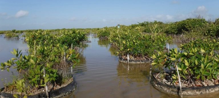 198DD7D3-5356-4228-AC44-972B2FA58CB9