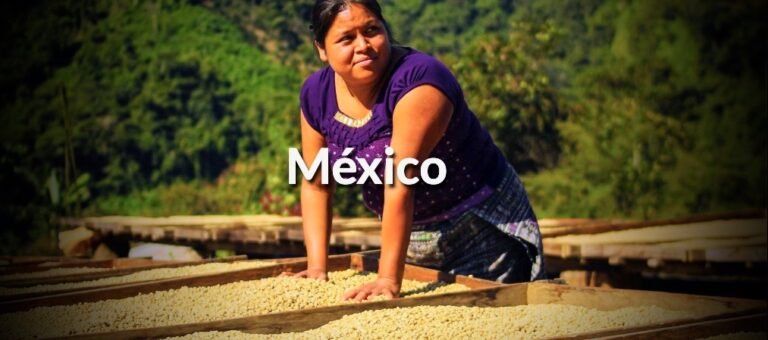 Captura-de-Pantalla-2020-02-22-a-las-12.46.17