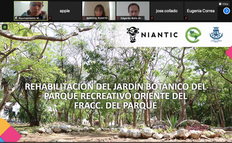 Captura de Pantalla 2021-04-01 a la(s) 11.02.59