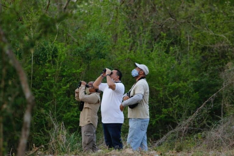 WhatsApp Image 2021-04-26 at 3.54.18 PM