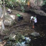 limpieza cenotes 4