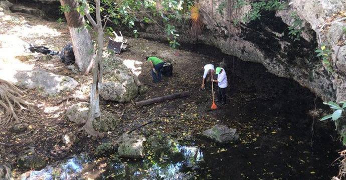 limpieza cenotes 4