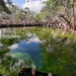 WhatsApp Image 2021-05-01 at 10.32.37 AM-3