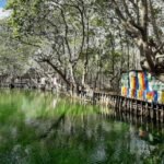 WhatsApp Image 2021-05-01 at 10.32.37 AM-4