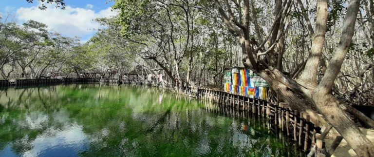 WhatsApp Image 2021-05-01 at 10.32.37 AM-4