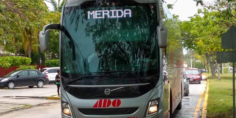 62148558_463522221085530_4636976941939818496_n