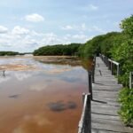 65D2C427-E4A3-42B7-BD7A-932C85778971