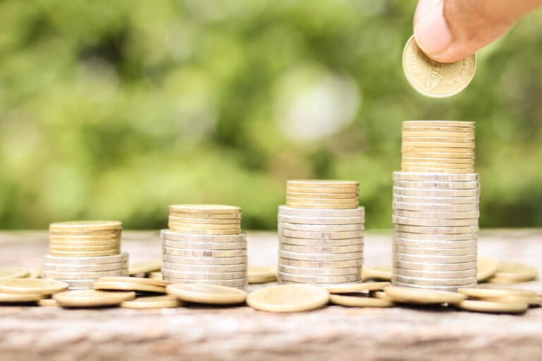 encuesta-nacional-ingresos-gastos-hogares-2020b