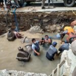 WhatsApp Image 2021-07-22 at 11.33.19 AM-2