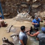 WhatsApp Image 2021-07-22 at 11.33.19 AM