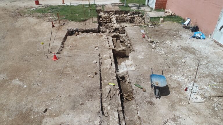 WhatsApp Image 2021-07-28 at 4.53.53 PM