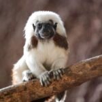 2E8B3EE7-4BDE-4691-8EBC-3E074A090F56