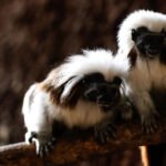 36CF8691-FAC9-4F64-AE20-A33CE436B277