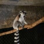 6F5410AB-B23F-4EB0-996F-8B1BBC0812D9