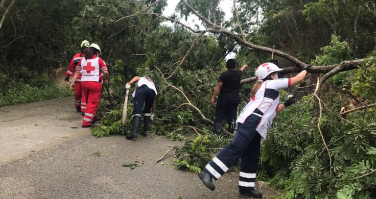 88194DCB-EDA7-4A6B-B065-D1FA7559FE02