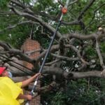 A82FA80D-7FB6-4248-9BD9-6DC1CC16A243