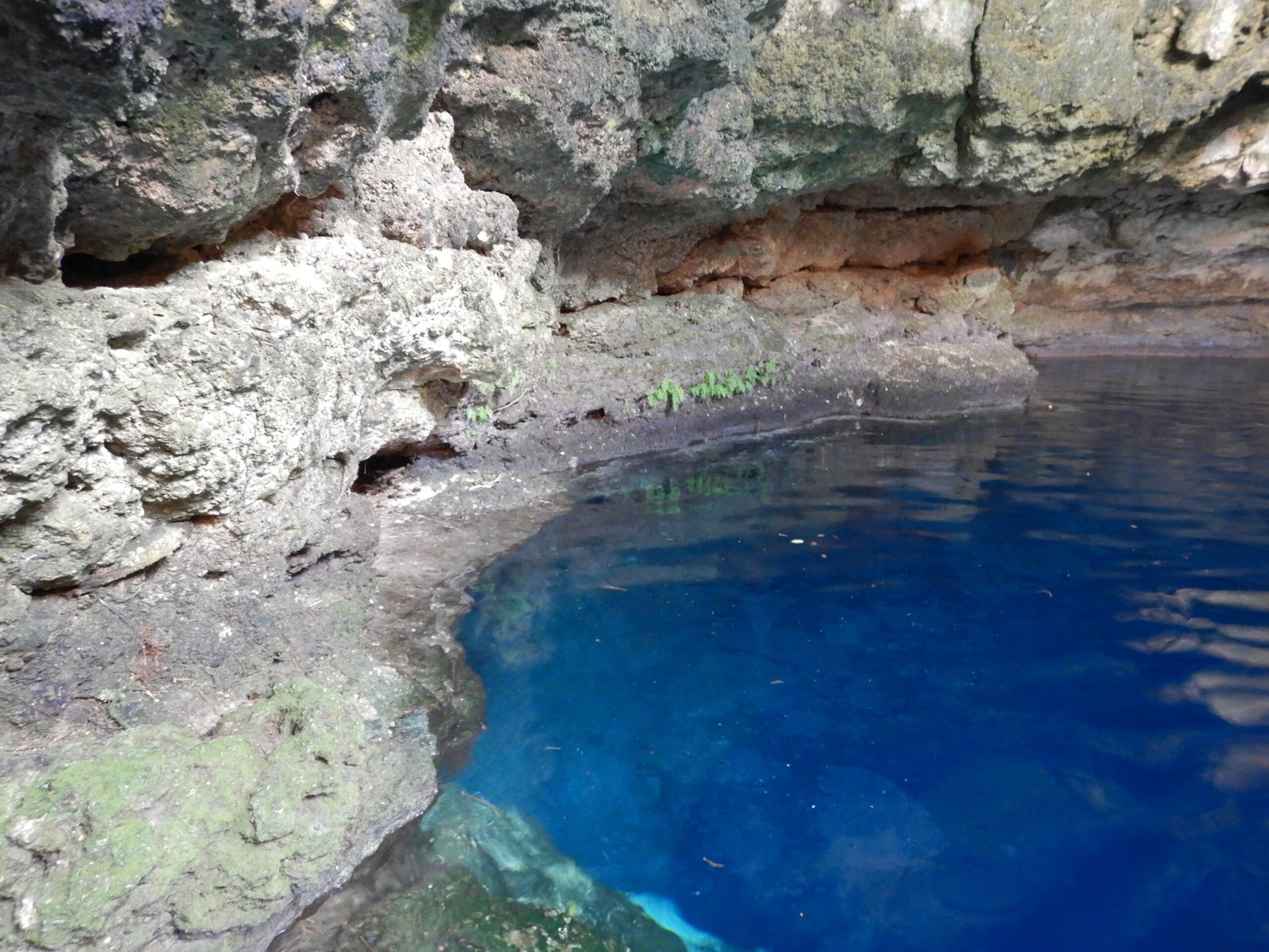 CICY anuncia la V Reunión Anual de Estudios sobre el Karst