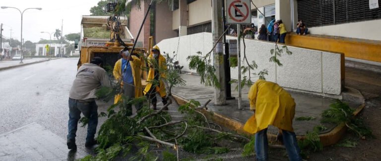 D1A2BFC7-6667-44D3-B006-2BABB8E71053