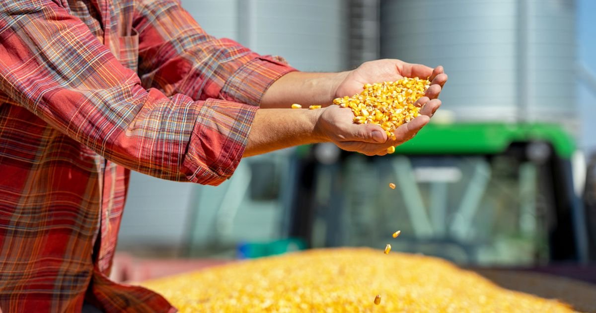 Cambio climático y actividad humana, los desafíos en producción de alimentos: Bayer