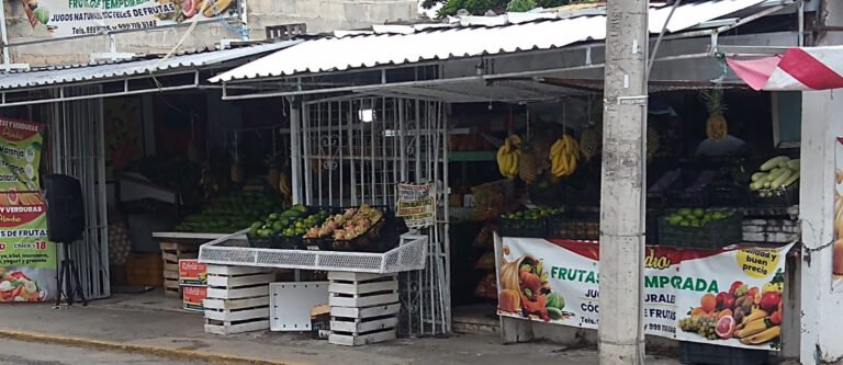 tienditas meridaWhatsApp Image 2021-08-19 at 9.05.43 AM-6