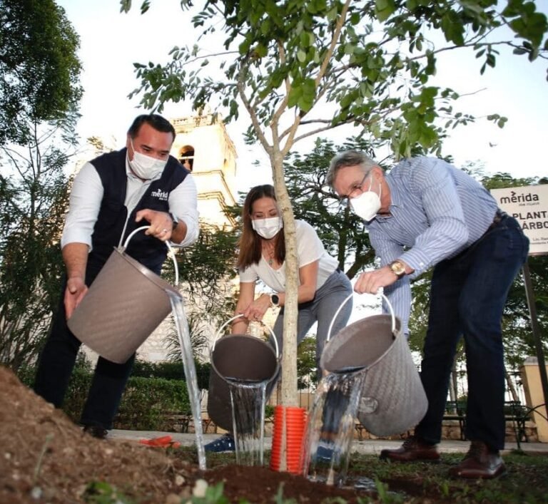 WhatsApp Image 2021-08-12 at 5.15.43 PM