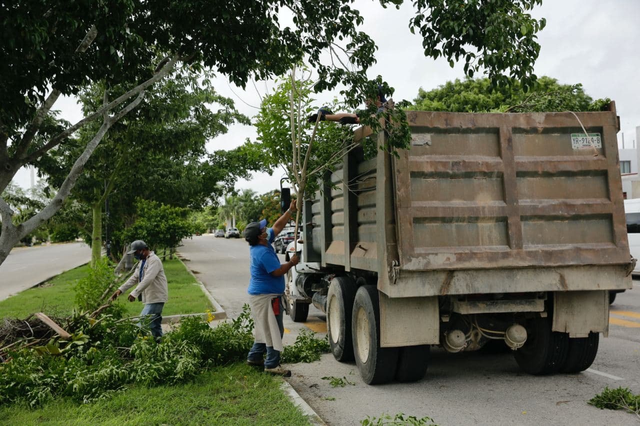 El saldo blanco en Mérida tras el paso de “Grace”,